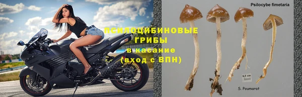гашик Абдулино