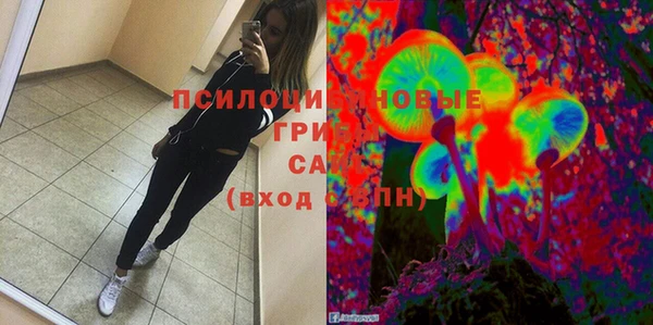 тгк Абаза