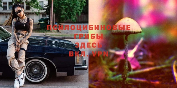 гашик Абдулино