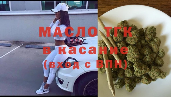 тгк Абаза